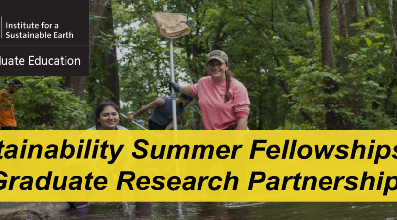 Mason students help the environment with sustainability summer fellowships