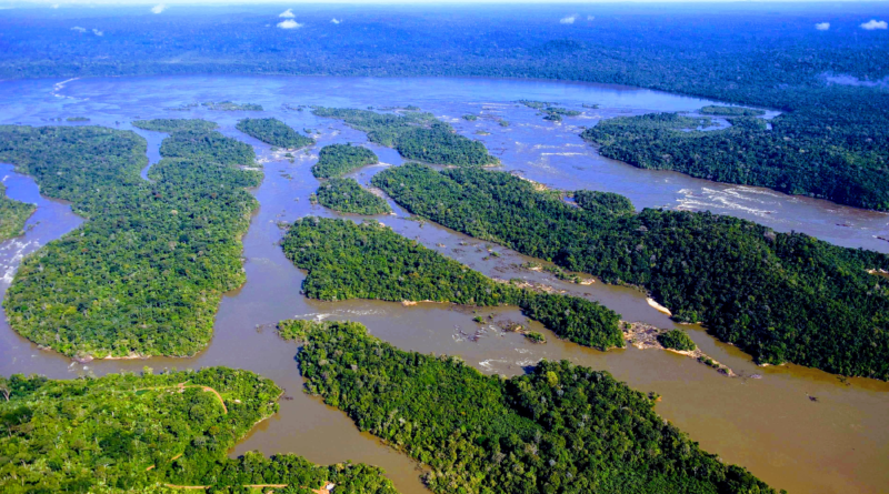 A Living Vision for the Amazon: Valuing a Most Precious Asset